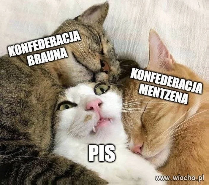 Ciemno wszędzie