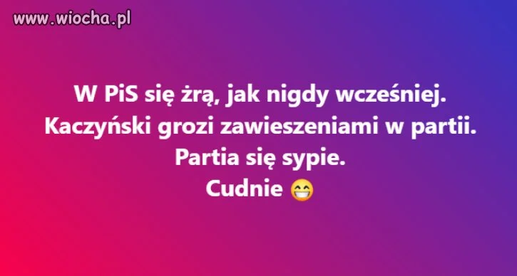 Nowe wojny plemienne w PISie