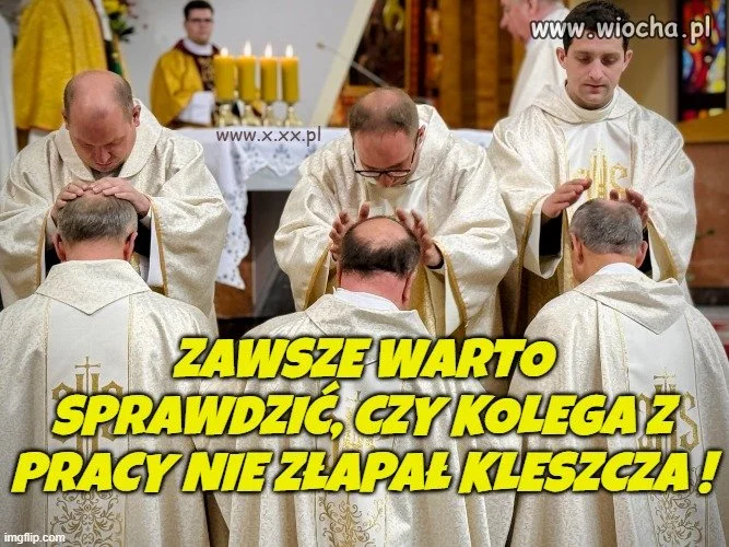 Fajnie że się tak