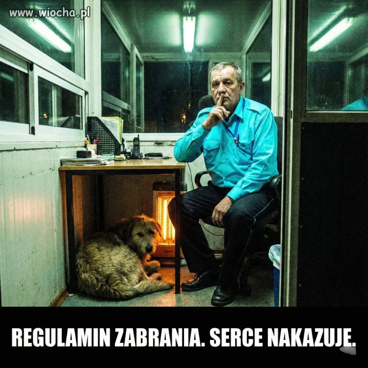 Teren prywatny", "Zakaz wstępu", 