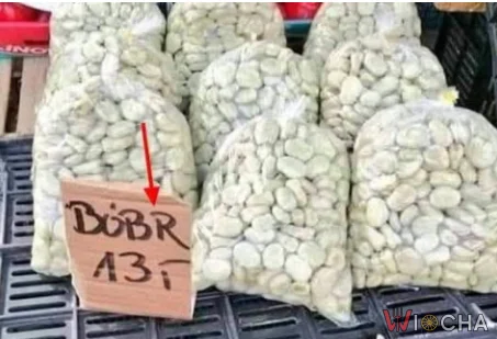 Bóbr w sezonie