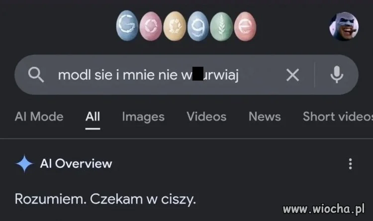 Rozumiem