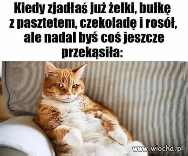 Kiedy zjadłaś już żelki bułkę czekoladę