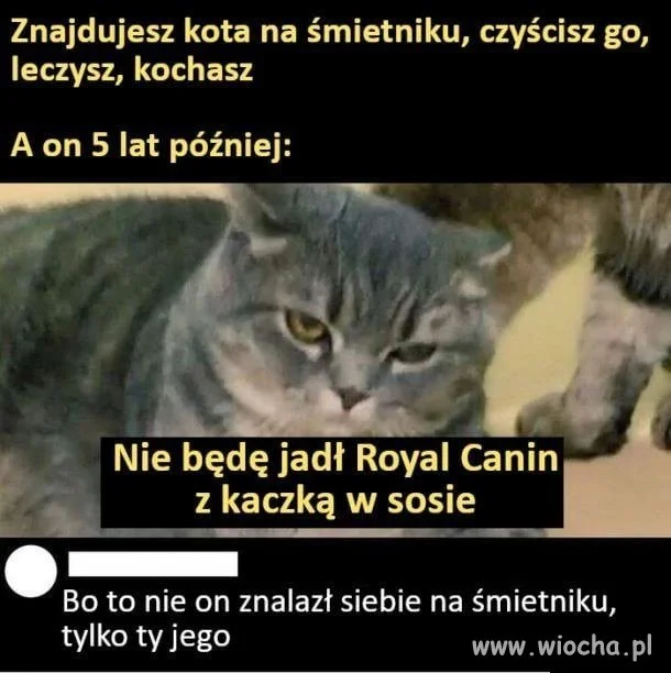 To ty go znalazłeś