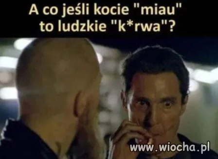 Jeśli to prawda,