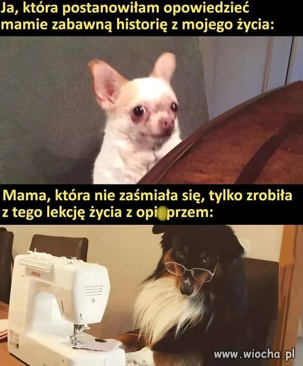 Mamo, ja tylko chciałem się pośmiać