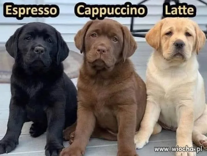 Ja dzisiaj potrzebuję espresso
