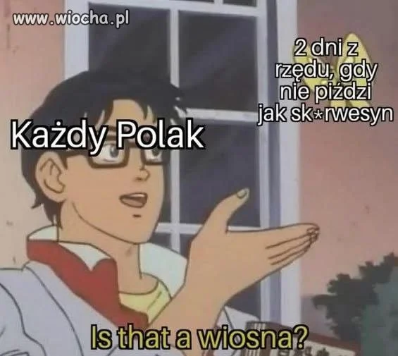 Odpowiadam: tak, that is a wiosna