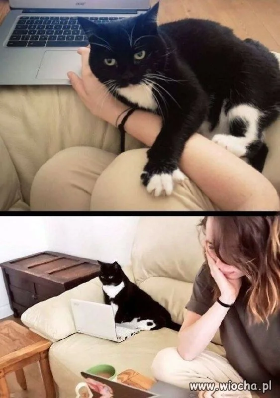 On też ma swoje sprawy