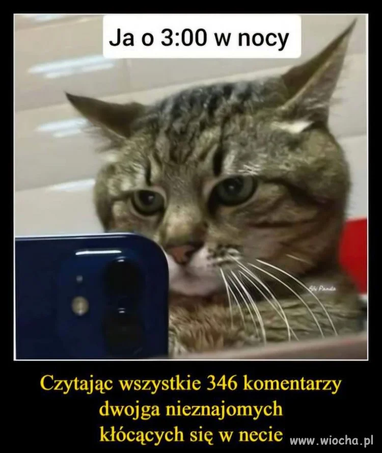 Użytkownik65758 powiedział dobrze