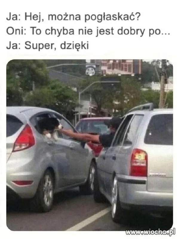 Właściciele psów nienawidzą takich osób