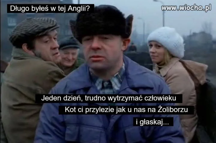 Ten kot musiał być na " łańcuszku " że nie zwiał 