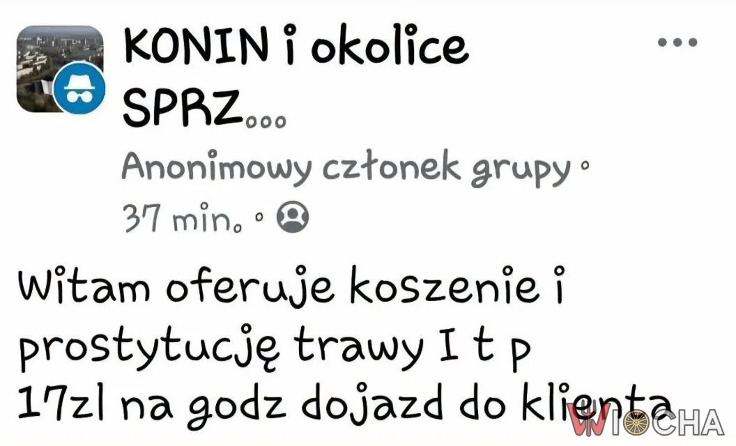 Trawa i inne usługi