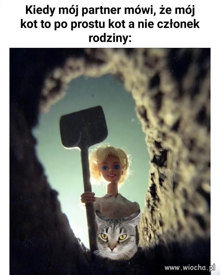 Kto tu jest naprawdę członkiem rodziny?