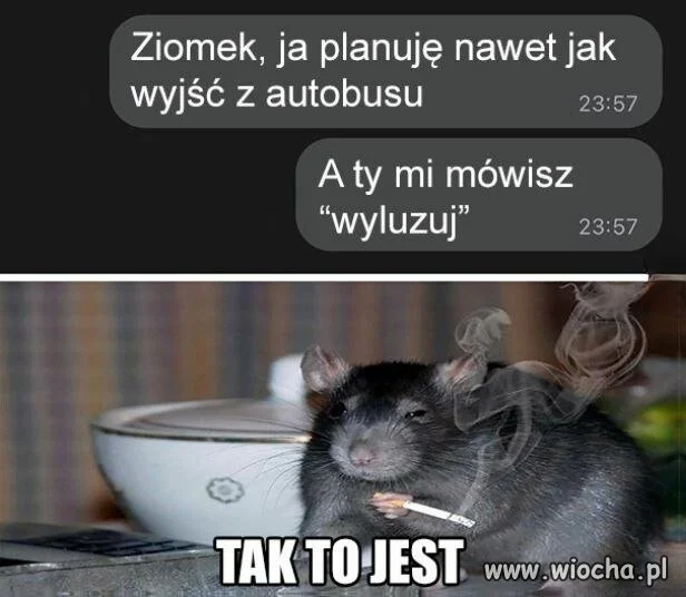 Ty mi mówisz wyluzuj