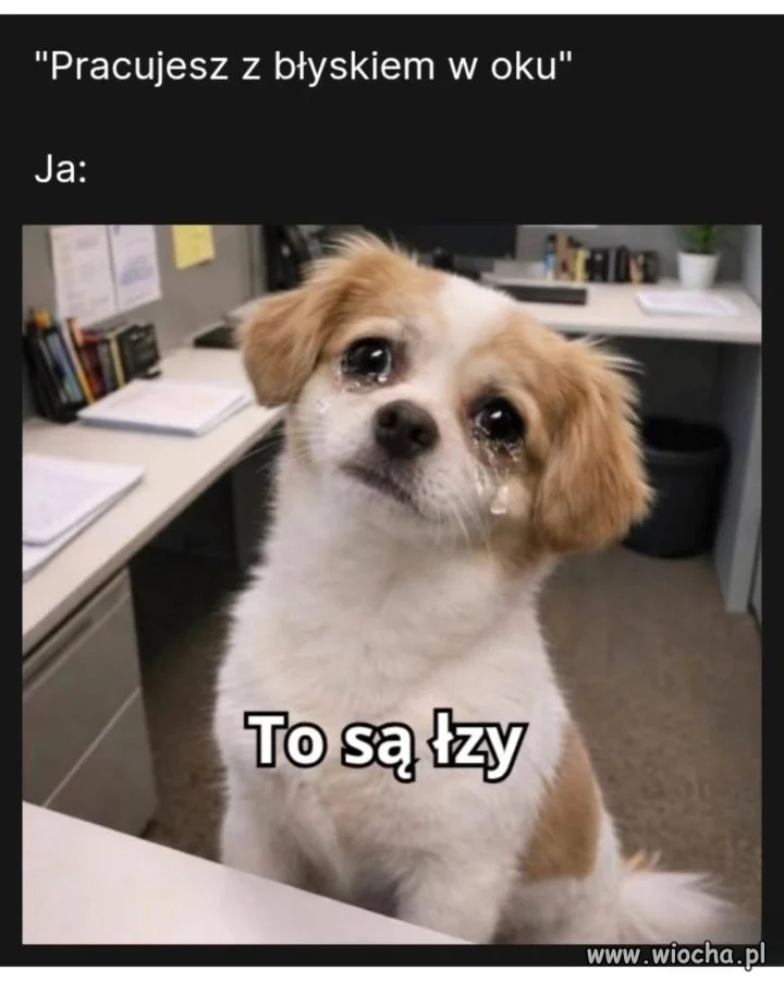 Spokojnie, to już weekend