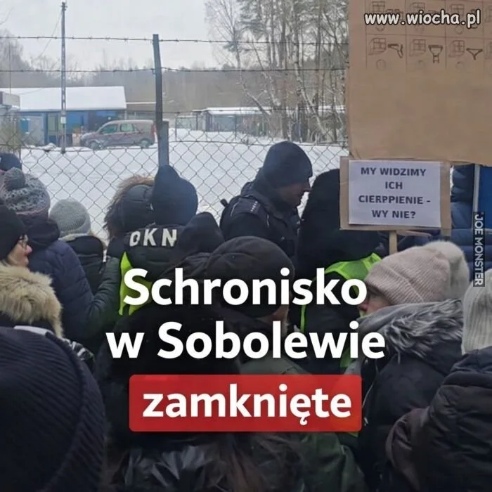Zwierzątka śpiewają: "To jest już koniec, nie ma już nic