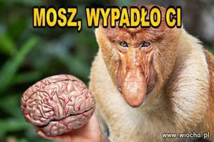 Stary, wypadło ci