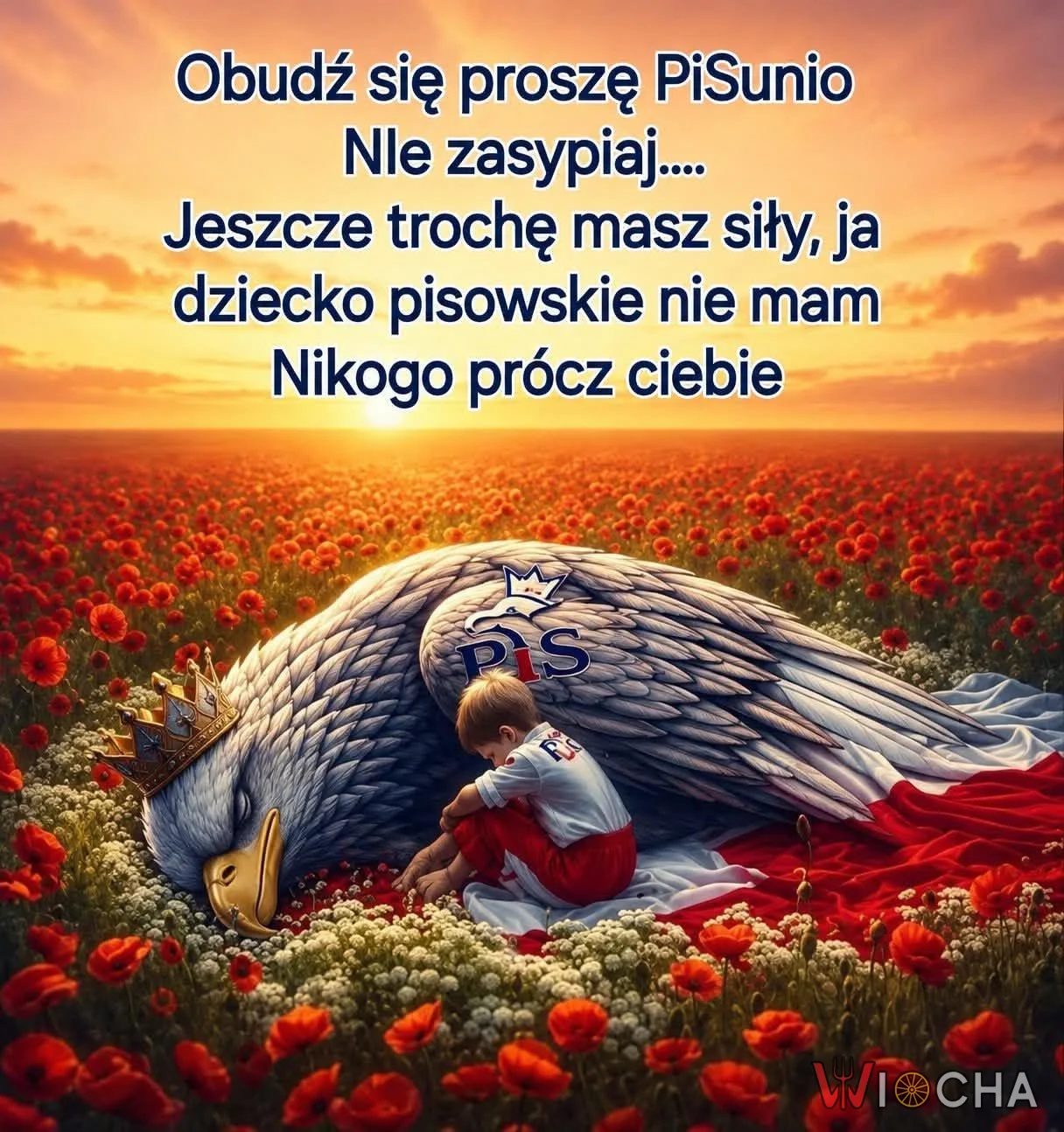 Obudź się PiSie