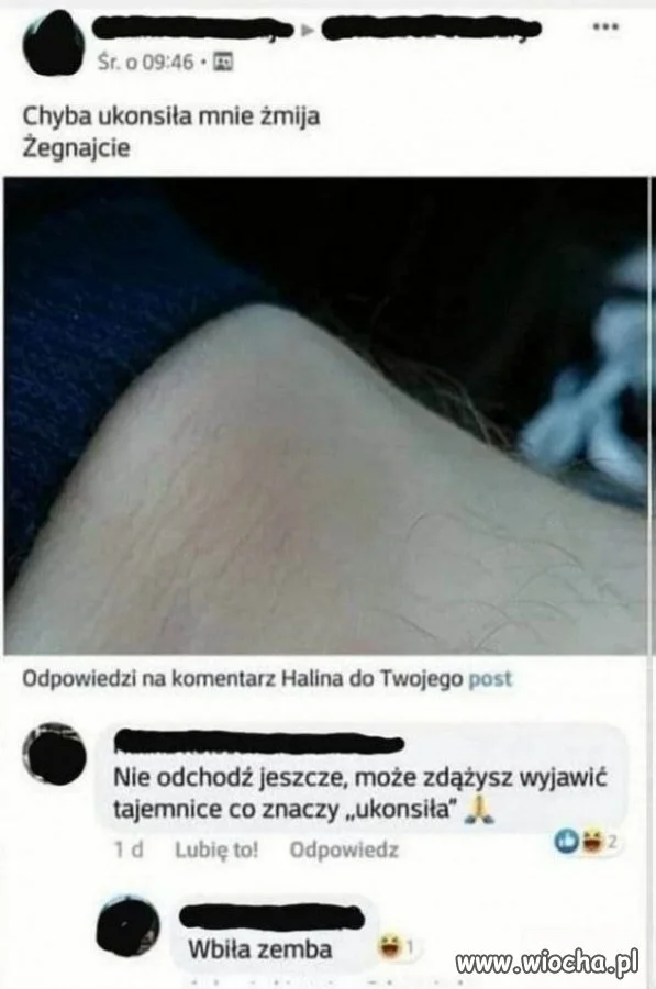 Żegnajcie