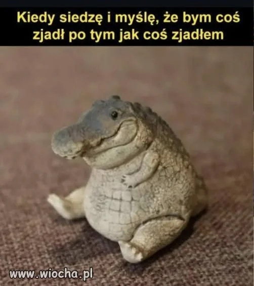 Krąg życia