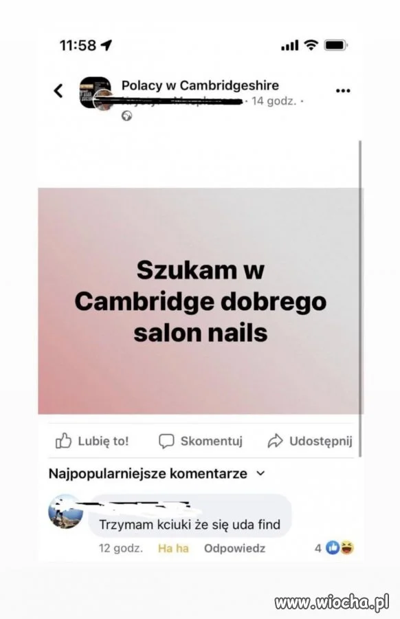 Polski geniusz w poszukiwaniach