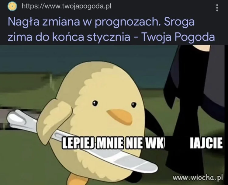 Kiedy wiesz, że wiosny nie będzie,