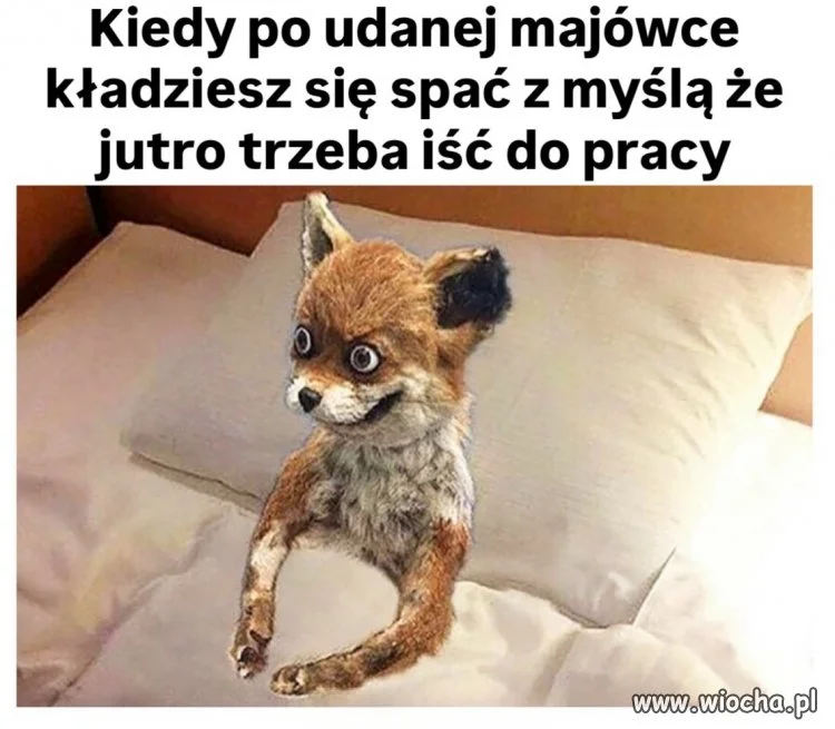 Tak fajnie było w majówkę