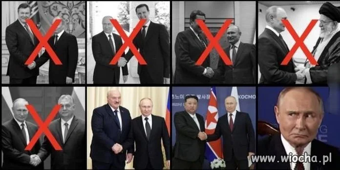 Sojusznicy się Kurczą 