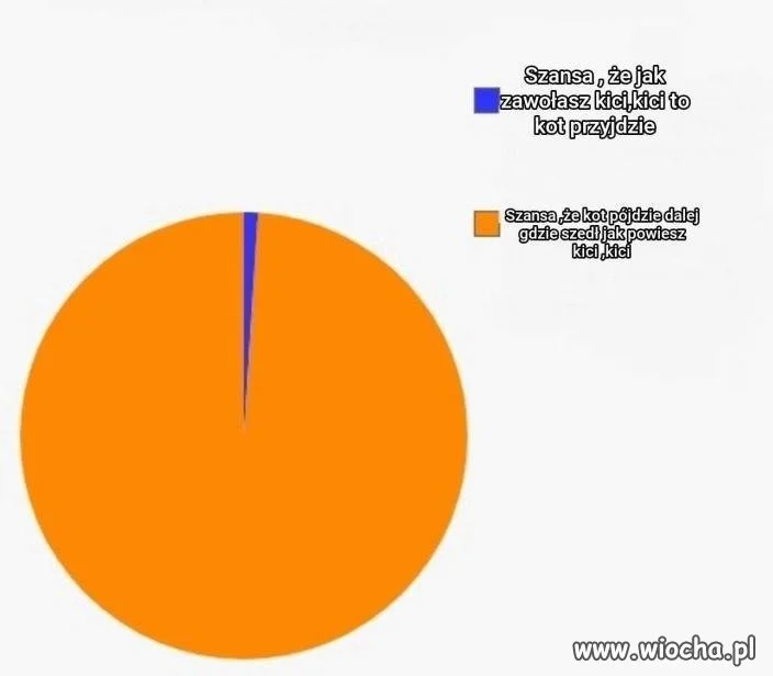 Koty takie już są