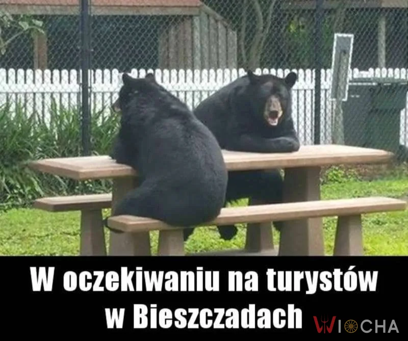 Czekając na turystów