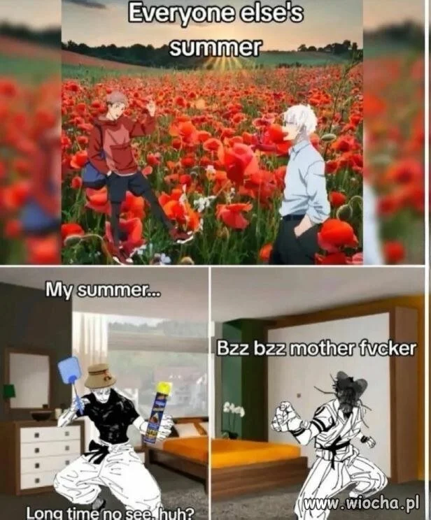 Wszyscy korzystają z lata