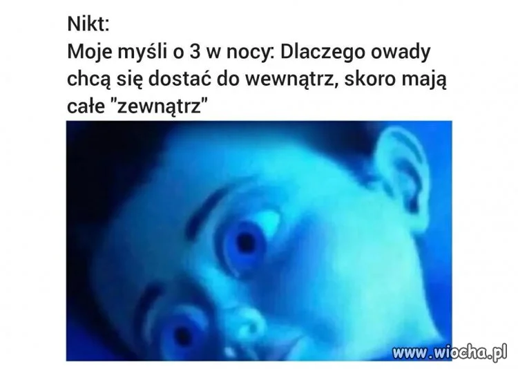 Ale serio, dlaczego?