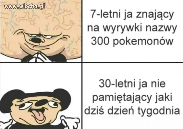 Kiedyś znałem 300 pokemonów