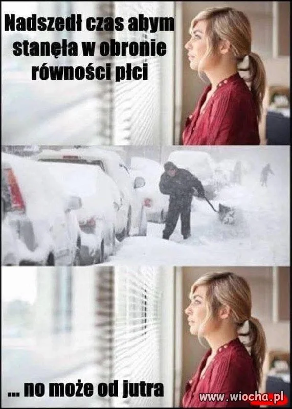 Odświeżanie vs. równość