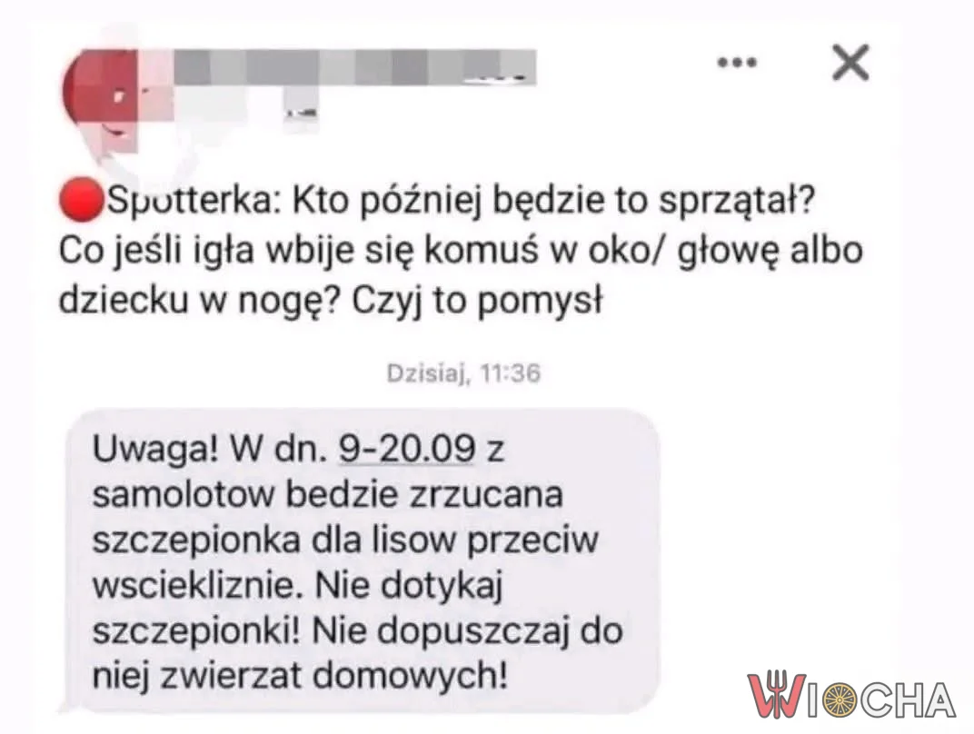 Czyj to pomysł?