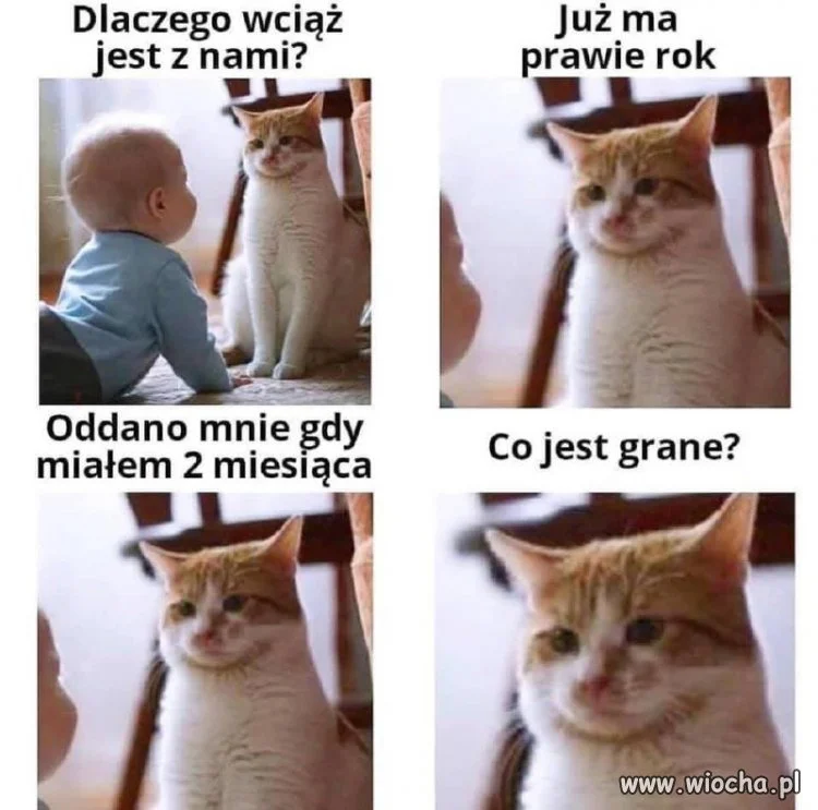Właśnie odkryłem, że mam konkurencję