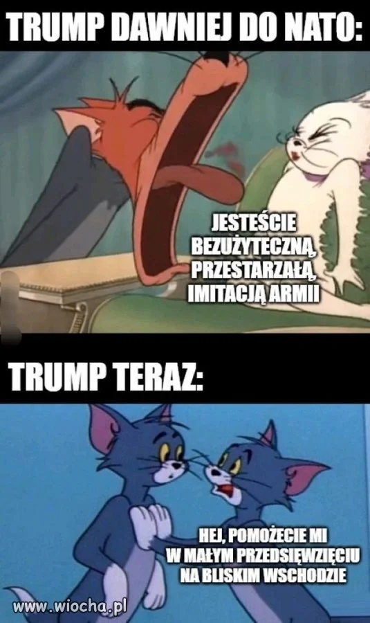 Wielki i potężny pomarańczowy 