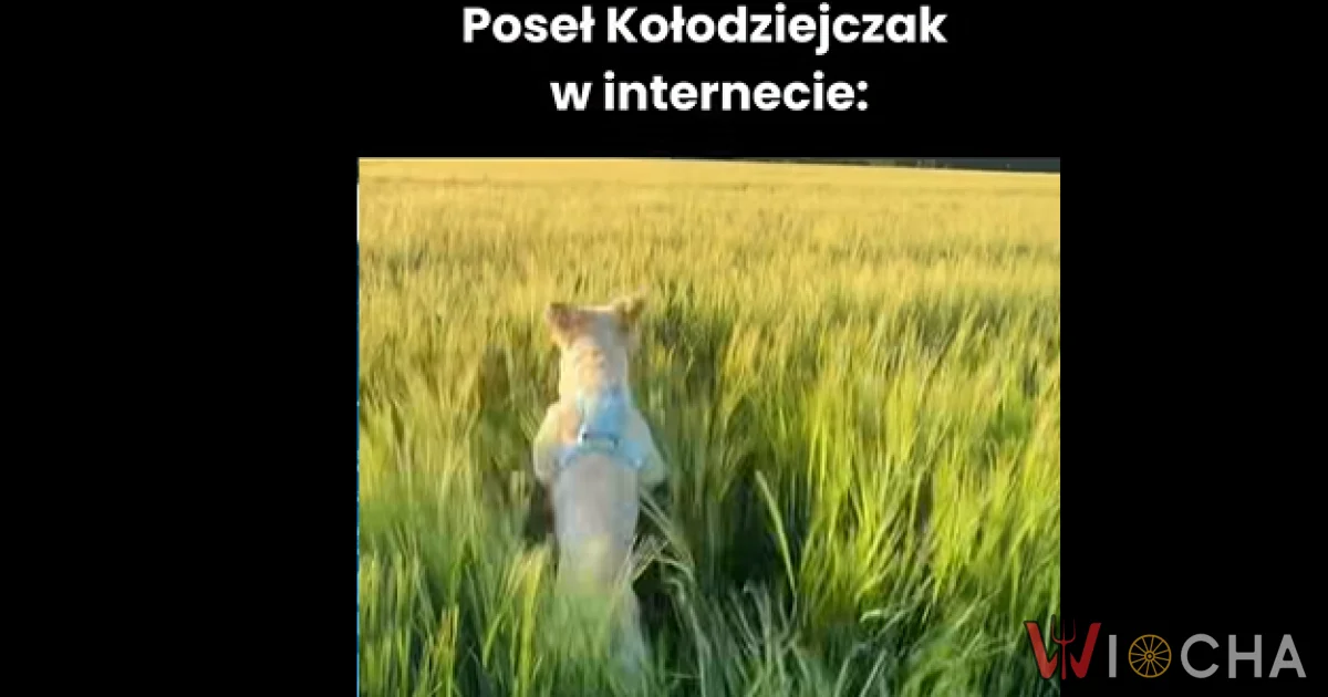 Polityka w naturze