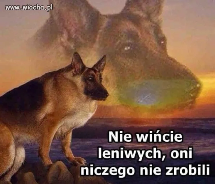 Każdemu się czasem nie chce