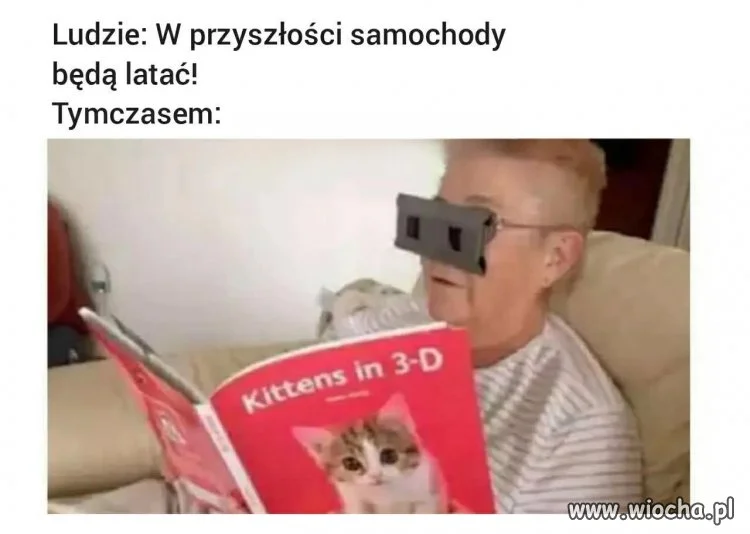 Jakie samochody?