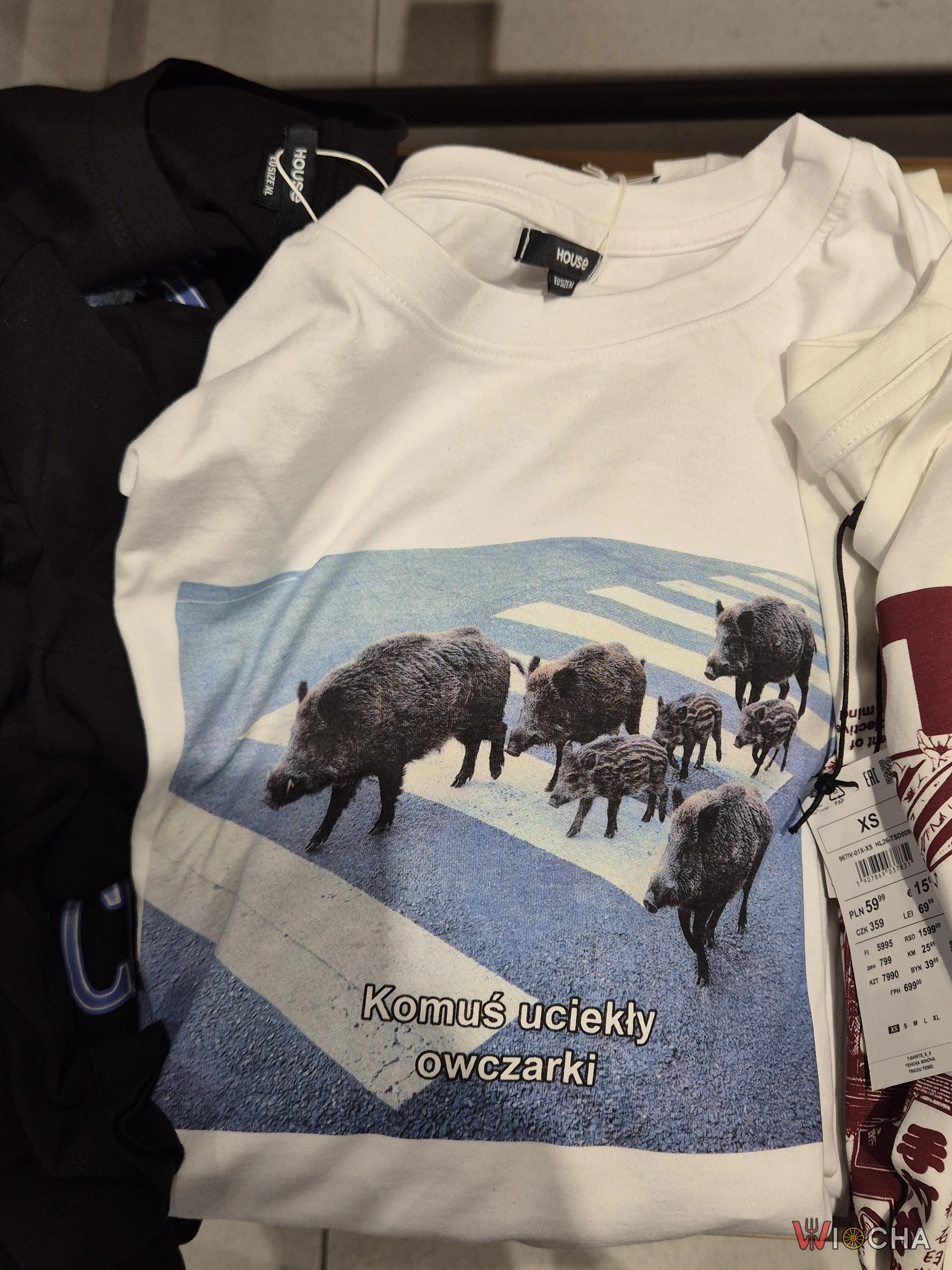 Moda na dziki