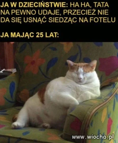Nie przełączaj, oglądam