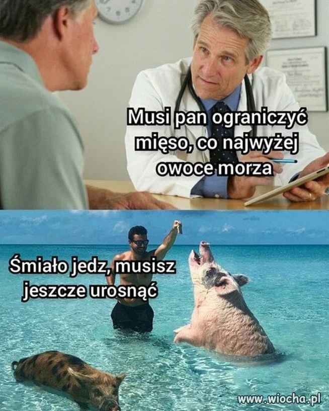 POV: Polak musi zrezygnować z mięsa