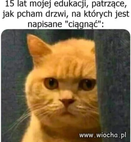 Każdy ma czasem gorszy dzień
