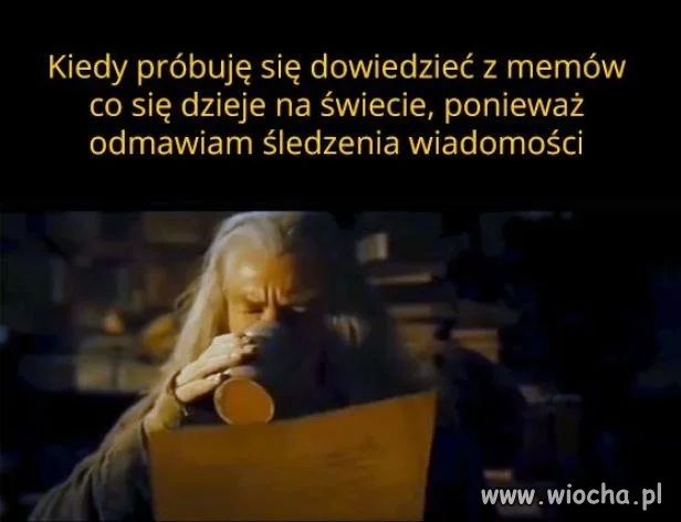 Kiedy memy stają się jedynym źródłem wiedzy