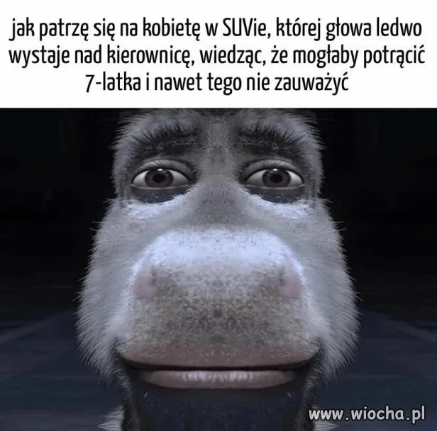 Też mnie to zastanawia
