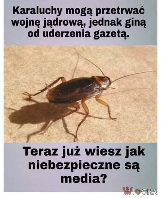 Czwarta władza