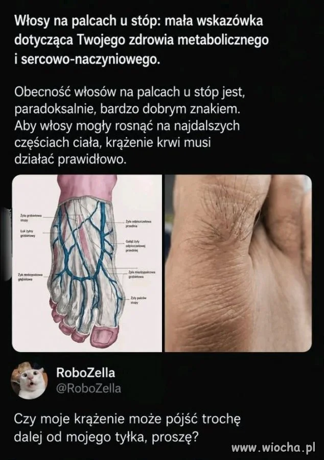 Konkretnie można prosić?