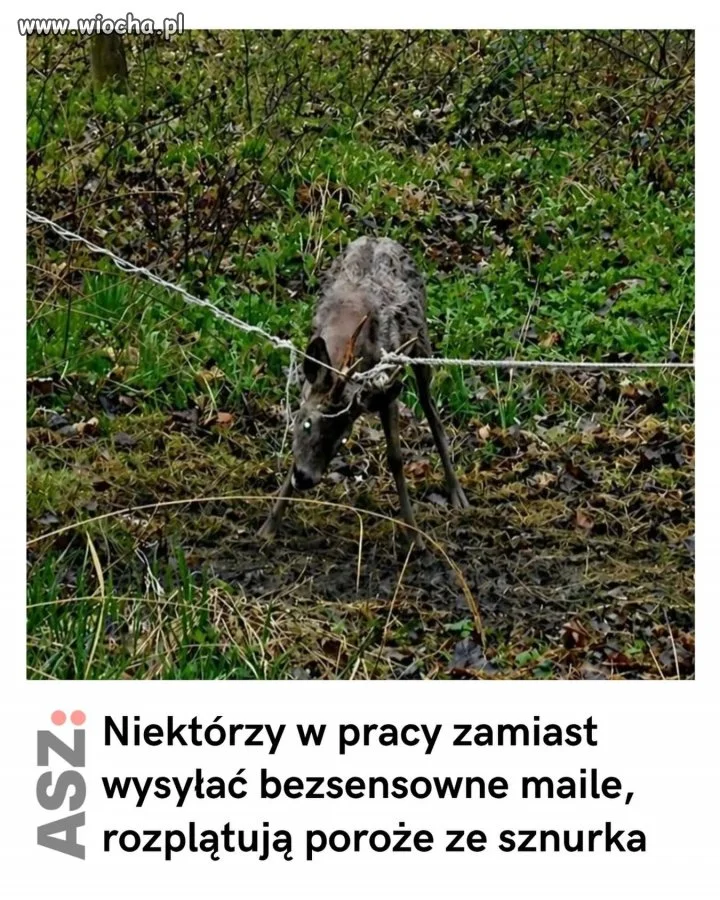 No i to jest przydatna robota!